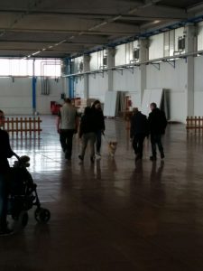 IMG_4297[1]