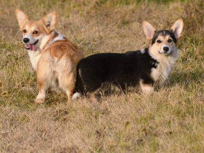 DSC_5082 DSC_5082